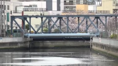 Sendaibori Nehri Kiraz Çiçeği Tam çiçek, Japonya Tokyo 2023