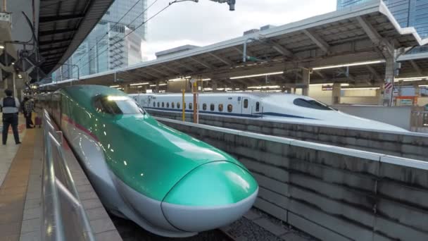Stasiun Shinkansen Tokyo Dengan Suara 2023 Kereta Ekspres Terbatas — Stok Video