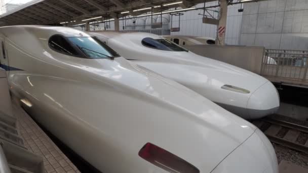 Tokyo Station Shinkansen Met Geluid 2023 Beperkte Express Trein — Stockvideo