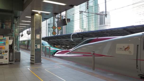 サウンド2023特急列車と東京駅新幹線 — ストック動画
