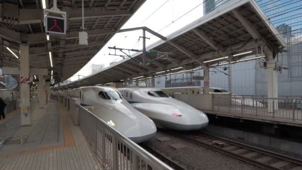 Tokyo Station Shinkansen Med Ljud 2023 Begränsat Expresståg — Stockvideo