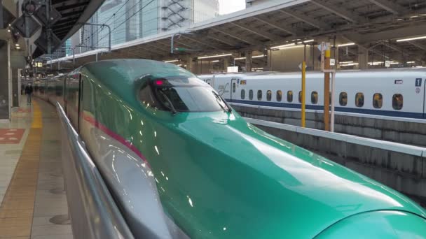 Tokyo Station Shinkansen Avec Son 2023 Train Express Limité — Video