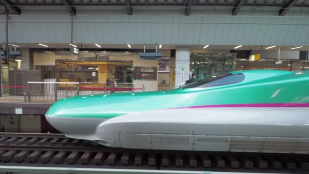 Tokyo Station Shinkansen Sound 2023 Limited Express Train — Stock Video