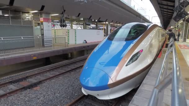 Τόκιο Σταθμός Shinkansen Ήχο 2023 Περιορισμένη Ταχεία Αμαξοστοιχία — Αρχείο Βίντεο