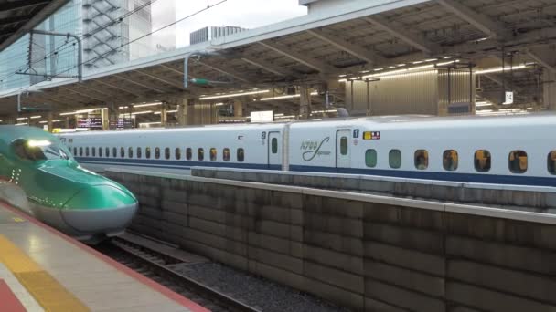 Tokioter Bahnhof Shinkansen Mit Eingeschränktem Schnellzug 2023 — Stockvideo