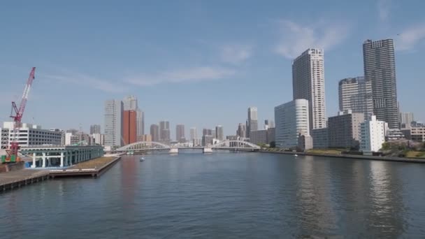 Sito Del Mercato Tsukiji Aprile 2023 Giappone Tokyo — Video Stock