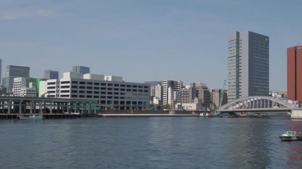 Sito Del Mercato Tsukiji Aprile 2023 Giappone Tokyo — Video Stock