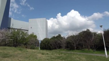 Yumenoshima Ryokudou Park Kiraz Çiçeği 2023, Japonya Tokyo