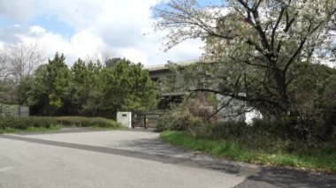 Yumenoshima Park Kiraz Çiçeği 2023, Japonya Tokyo