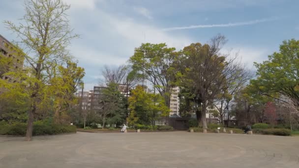 Hamacho Park Kersenbloesem Volle Bloei 2023 Japan Tokio — Stockvideo
