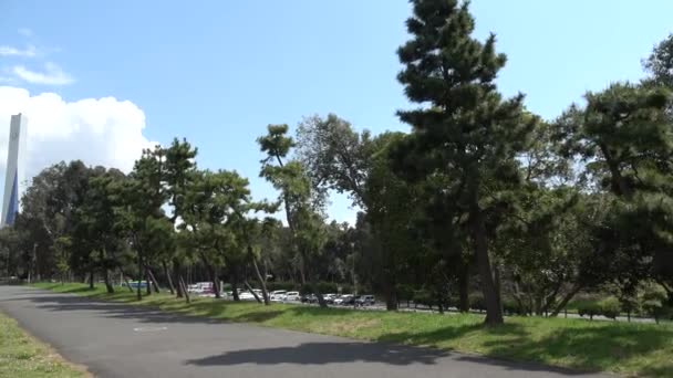 Yumenoshima Park Körsbärsblomma 2023 Japan Tokyo — Stockvideo