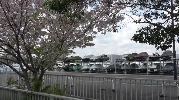 Парк Юменос 2023 Год Япония Токио — стоковое видео