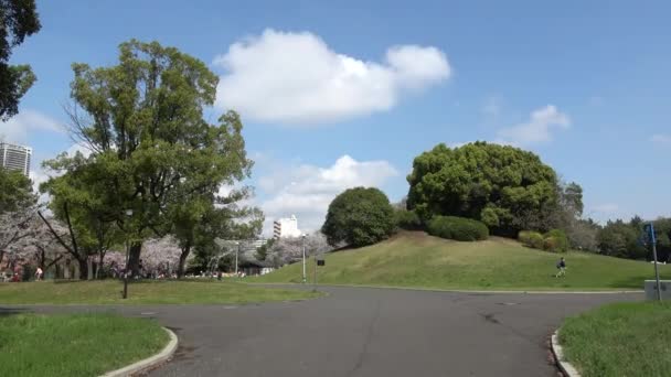 Tatsumi Mori Ryokudou Park Kirschblüte 2023 Japan Tokio — Stockvideo