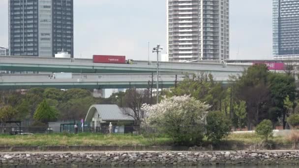 Tatsumi Mori Seaside Park Flor Cerezo 2023 Japón Tokio — Vídeos de Stock