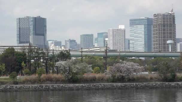 Tatsumi Nej Mori Seaside Park Körsbärsblomma 2023 Japan Tokyo — Stockvideo