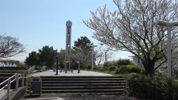 Shinkiba Ryokudou Park Cherry Blossom 2023 Japan Tokyo — стоковое видео