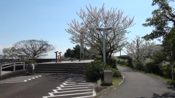 Shinkiba Ryokudou Park Kersenbloesem 2023 Japan Tokio — Stockvideo