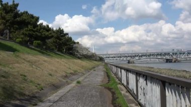Shinkiba Ryokudou Park Kiraz Çiçeği 2023, Japonya Tokyo