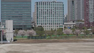 Odaiba Sökme, Tokyo Japonya Nisan 2023