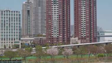 Odaiba Sökme, Tokyo Japonya Nisan 2023