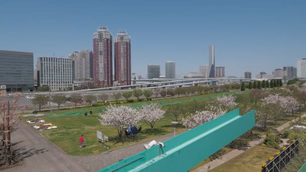 Odaiba Sökme Tokyo Japonya Nisan 2023 — Stok video