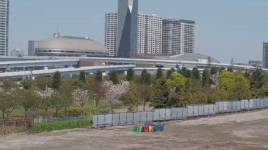 Odaiba Sökme, Tokyo Japonya Nisan 2023