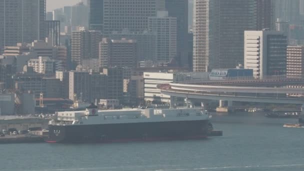 Вид Обзорную Палубу Токийского Залива — стоковое видео