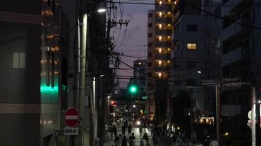 Sumida Nehri Havai fişek Festivali 2023, Japonya Tokyo