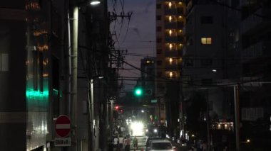 Sumida Nehri Havai fişek Festivali 2023, Japonya Tokyo