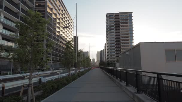 Harumi Vlag Aanbouw Japan Tokio Juni 2023 — Stockvideo