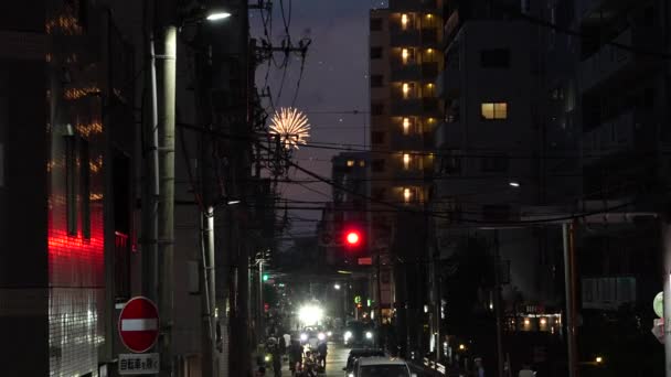 Sumida River Fireworks Festival 2023 Giappone Tokyo — Video Stock