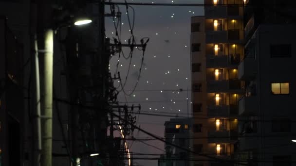 Фестиваль Фейерверков Реке Сумида 2023 Япония Токио — стоковое видео