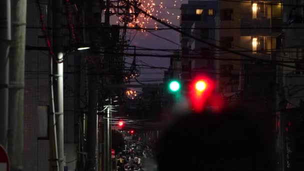 日本东京苏美达河烟花节2023 — 图库视频影像