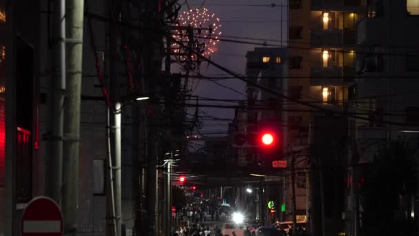 日本东京苏美达河烟花节2023 — 图库视频影像