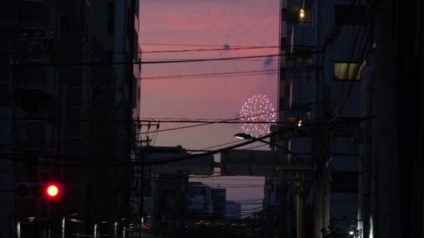 Sumida River Fireworks Festival 2023 Giappone Tokyo — Video Stock