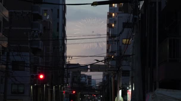 Sumida Nehri Havai Fişek Festivali 2023 Japonya Tokyo — Stok video