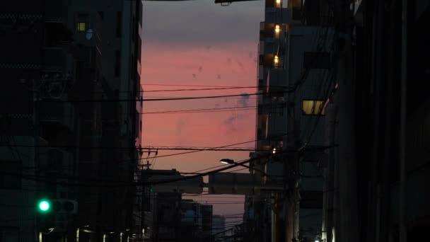 Festiwal Fajerwerków Sumida River 2023 Japonia Tokio — Wideo stockowe