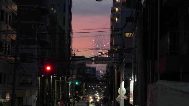 Sumida River Fireworks Festival 2023 Japão Tóquio — Vídeo de Stock