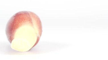 Japon kızıl, yemek videosunu kapat Myoga