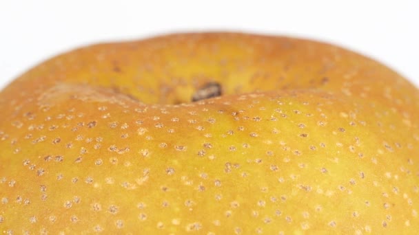 Japonez Pear Fructe Close Mâncare Video — Videoclip de stoc