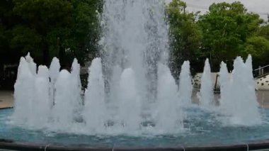 Gyousen Parkı, Japonya Tokyo Mayıs 2025