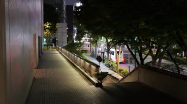 Shinjuku, Japonya Tokyo Gece Manzarası Mayıs 2025