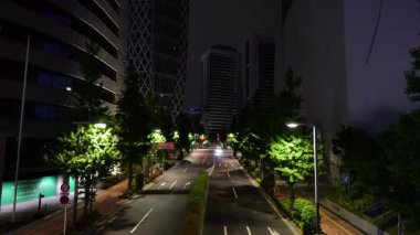 Shinjuku, Japonya Tokyo Gece Manzarası Mayıs 2025