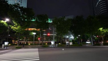 Shinjuku, Japonya Tokyo Gece Manzarası Mayıs 2025