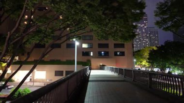 Shinjuku, Japonya Tokyo Gece Manzarası Mayıs 2025