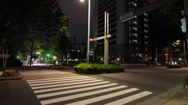 Shinjuku, Japonya Tokyo Gece Manzarası Mayıs 2025