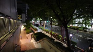 Shinjuku, Japonya Tokyo Gece Manzarası Mayıs 2025