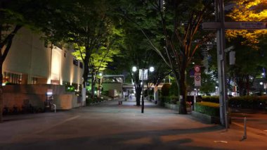 Shinjuku, Japonya Tokyo Gece Manzarası Mayıs 2025