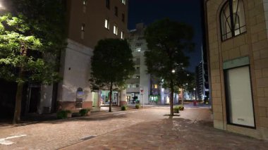 Shiodome İtalyan Şehir Gece Manzarası, Japonya Tokyo 2025