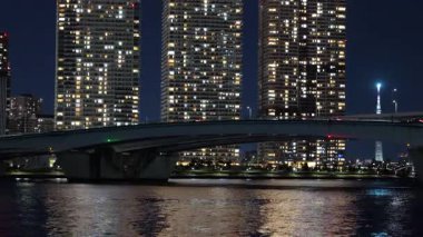 Toyosu, Japonya Tokyo Gece Manzarası 2025